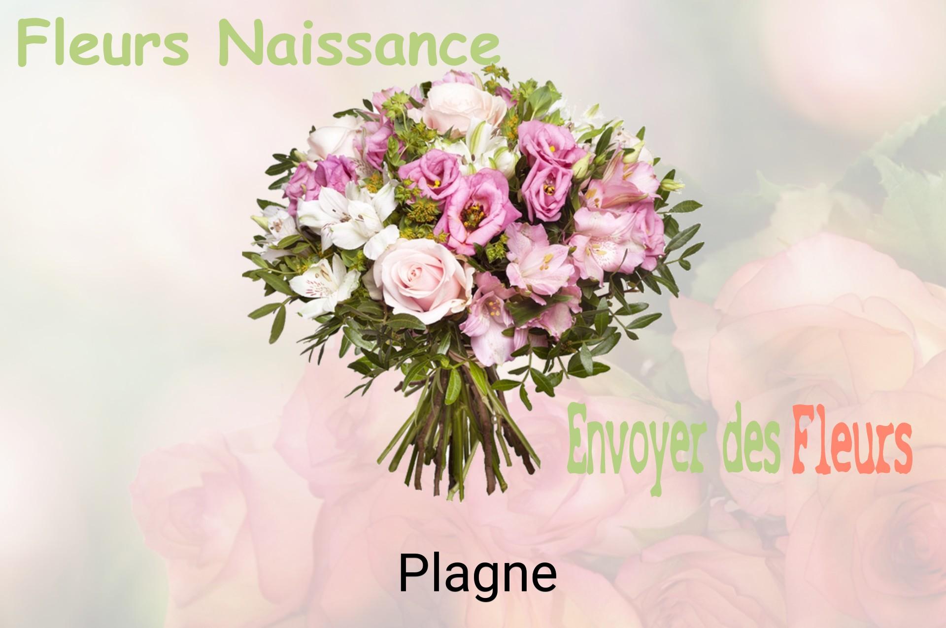 Bouquet de fleurs de naissance livré à Plagne