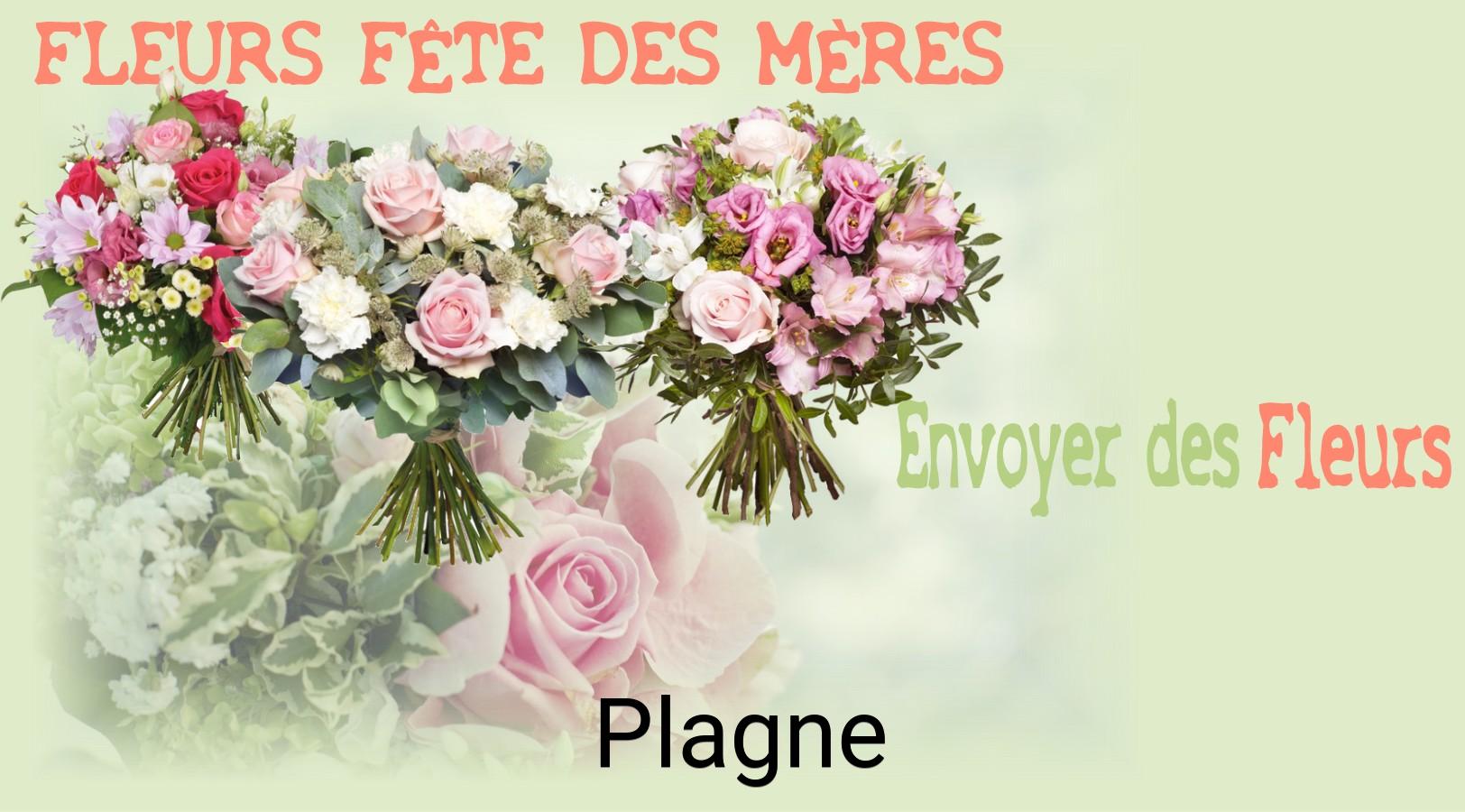 Bouquet de Fête des Mères livré à Plagne